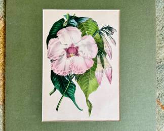 Vintage Prints