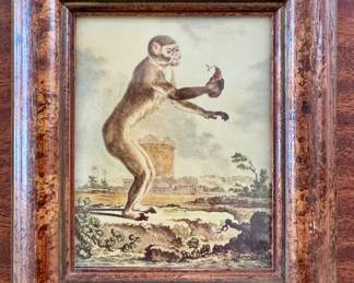 Monkey Watercolor