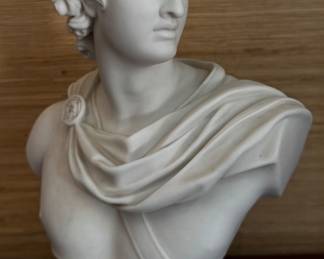 Apollo Belvedere Bust