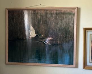 Assorted Framed Art Prints - Wildlife and Nautical Themes