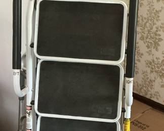 Werner 4-Step Aluminum Step Ladder