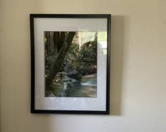 Assorted Framed Art Prints - Wildlife and Nautical Themes