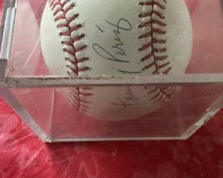 Official National League Baseball Signed by Tony Perez