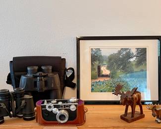 FRAMED BLUEBONNET PHOTO, NIKON & ZUERST BINOCULARS, ARGUS 35MM CAMERA