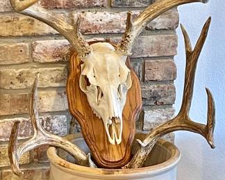 MARSHALL POTTERY 5 GALLON CROCK, SKULL MOUNTS