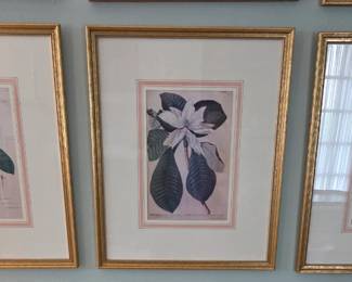 Floral prints 26" x 21"