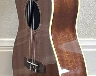 Kala Ukulele With Case
