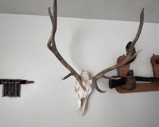 L-R: bobcat peace/shaman pipe, Deer Antlers, Hoof rifle rack