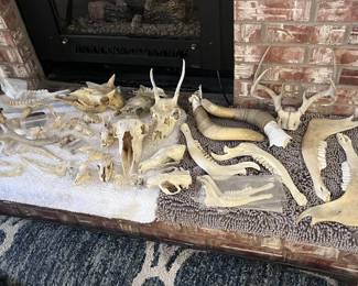 Bone collection