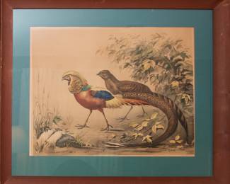 Conrad Noland Pheasants