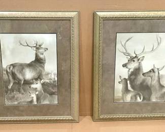 Regal Buck Prints
