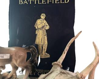 BOOK, SKULL, HORSE TV LIGHT