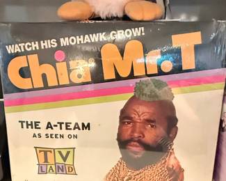 Chia Mr. T "The A-Team" Chia Pet