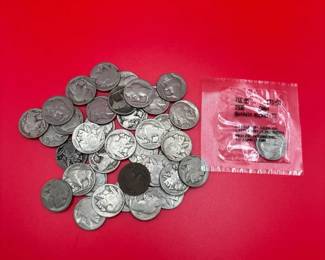 So Many Buffalo Nickels