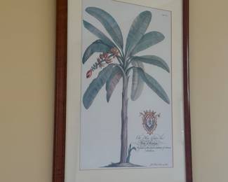 Tropical Prints