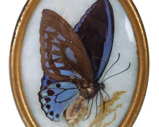 4 Oval Butterflies silo