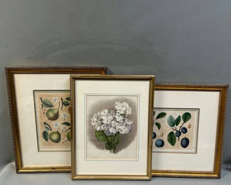 Lot 24: Botanical Still Life Lithographs