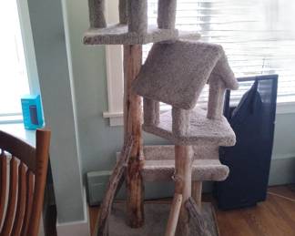 Cat Hotel