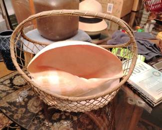 conch shell