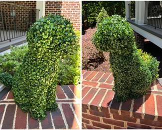 Dog shape topiaries