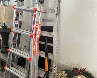 Little Giant ladder