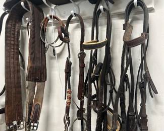 Bridle tack