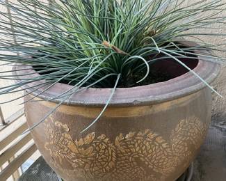 9 pots available