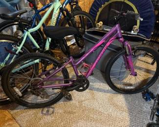 035 specializedhotrockkidsmountainbike