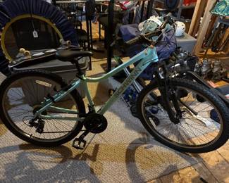 013 schwinn21speedmountainbike