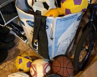 251 assortedlotoflargesportsballs