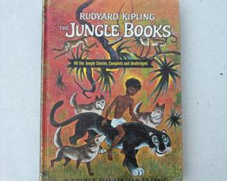 124 vintage1965hardcovercopyofthejungl