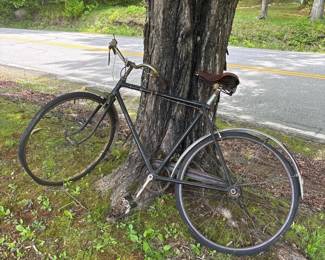 119 vintagedawesroadsterbicyclewithbroo