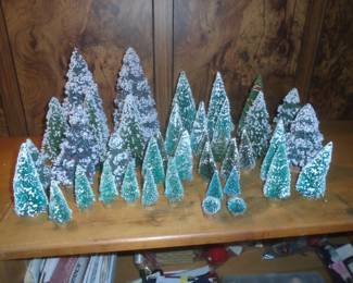 foreat of bottle brush trees