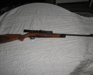 Savage 22mag model 141
