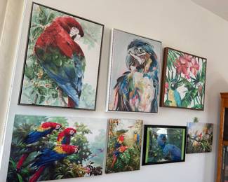 Exotic bird pictures
