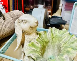 Bunny with cabbage bowl
