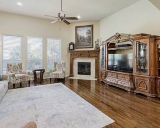 Rug, sofa, entertainment center
