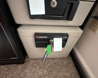 Sentry safes