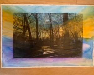 coopers pond monoprint