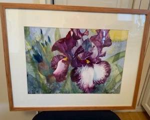 Iris