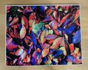 unframed leaves photo