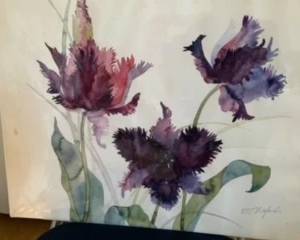 Parrot tulips