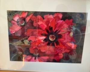 poppy