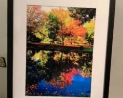 reflection at Coopers pond photo
