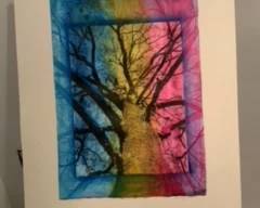 Branching out mono