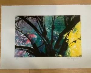 front lawn litho