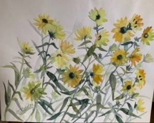 sunflowers