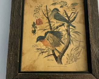 wooden framed birds