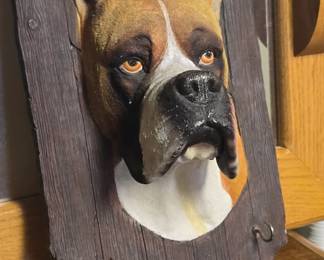 This enthusiastic gentleman resides in the basement. 