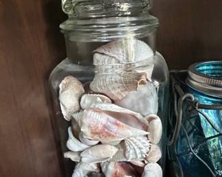 Vintage Glass Apothecary Jar with Assorted Seashells Tiffin or LE Smith